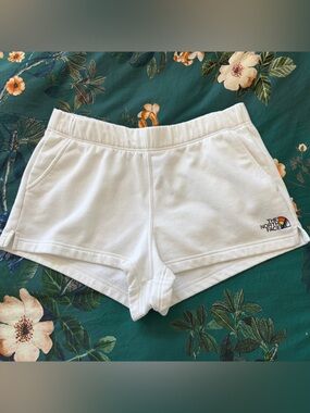 North Face Pride Shorts